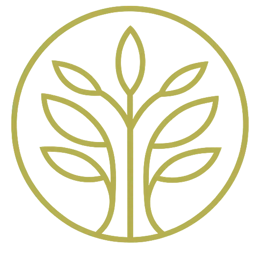 Vidya Siri International School Logo