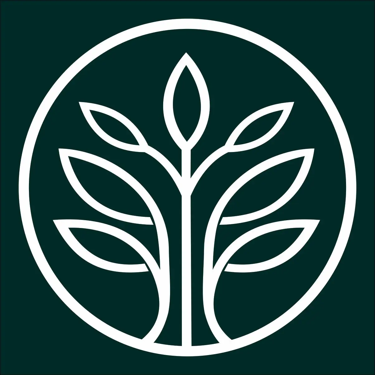 Vidya Siri International School | CBSE School in Bangalore Vidya Siri International School logo - CBSE school near Sarjapur Road Bangalore